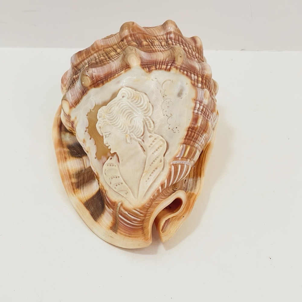 Vintage Italian Hand‎ Carved Conch Cameo Seashell Shell Lady Woman Art